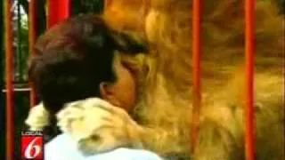 Amazing Hug- lion hugs woman