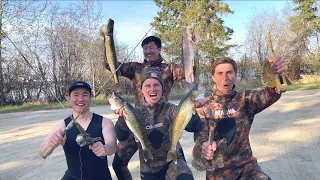 Spearfishing Walleye and Pike in ice cold water!