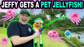 JEFFY GETS A PET JELLYFISH!