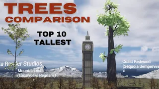 The Tallest TREE families in the world 🌲🌳 3D Comparison