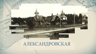 Александровская / «Малые родины большого Петербурга»