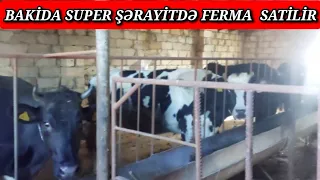 FERMA SATİLİR  BAKİDA TEL:051.792.83.28 HƏR BİR ŞƏRAYİTİ VAR