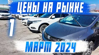 ЦЕНЫ НА АВТОРЫНКЕ ЗЕЛЁНЫЙ УГОЛ - МАРТ 2024. 1 ЧАСТЬ