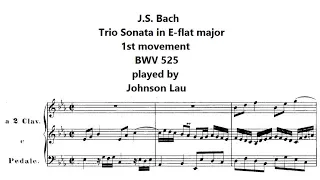 J.S. Bach - Trio Sonata no. 1 in E-flat major, BWV 525 (1st movement)