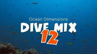 Ocean Dimensions - Dive Mix 12