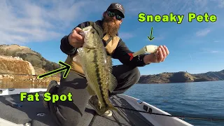 WINTER Glide Bait and JIG Bite | Lake New Melones