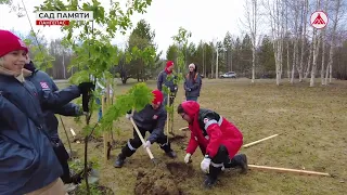 Международная акция "Сад памяти" 27-05-2024