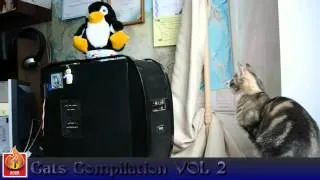 Cats Compilation No.2 Best Of Compilation 2014 [FULL HD]