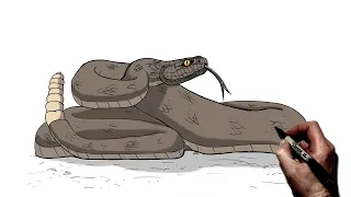 How To Draw A Rattlesnake | Step By Step |