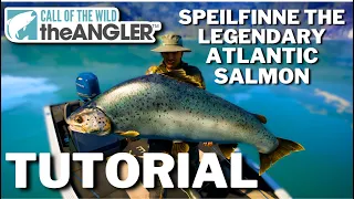 Call of the wild The Angler: How to catch this weeks Norway's Legendary fish!!