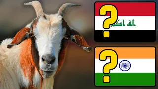 Guess the Country by Its National Animals | Fun With Flags