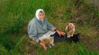 Зять бросил слепую тёщу в лесу, думая, что она больше не вернется. Старушку нашел рысенок и тогда..