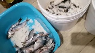 Как не пересолить рыбу при сухом посоле
