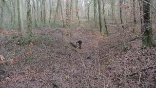 Swiss Alpenflage camouflage during winter time.