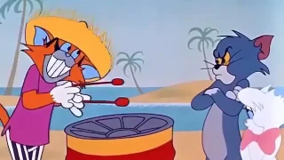 Tom and Jerry Calypso Cat 1962