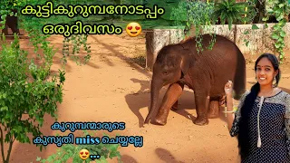 |kotttoor elephant park |  kottoor kappukadu elephant rehabilitation center |കോട്ടൂരിലെ ആനക്കഥകൾ |