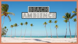 4K Tropical BEACH AMBIENCE on a Caribbean Island in the Dominican Republic with a White Sand Beach