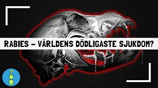 RABIES - VÄRLDENS DÖDLIGASTE SJUKDOM?