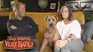 Dogs Behaving Very Badly - Series 1, Episode 5 | Full Episode