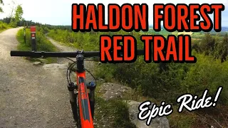 Haldon Forest- Red (Ridge Ride) Trail - Mountain Bike Trail Review