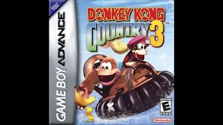 Best VGM 1243 - Donkey Kong Country 3 (GBA) - Enchanted River