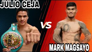 MARK MAGSAYO VS. JULIO CEJA||FULL FIGHT HIGHLIGHT.