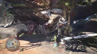 My Kushala Daora Is Broken