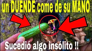 Duendes hablan por primera vez su voz no es de este mundo parte 41 duende grabado llorando