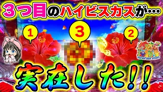 【遊959連】Pスーパー海物語IN沖縄5!ハイビスカスモードに、幻の3つ目のハイビスカス!!!めいめいのゆるパチ#972