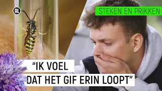 JURRE WORDT GESTOKEN DOOR EEN WESP! | Steken en Prikken #1 | NPO Zapp