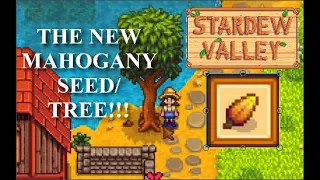 STARDEW VALLEY 1.5 UPDATE | MAHOGANY SEED/TREE!