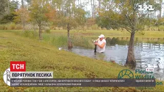 Чоловік у Флориді кинувся у бій з алігатором заради порятунку свого собаки