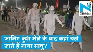 Kumbh Mela- 2019: जानिए कुंभ के बाद कहां चले जाते हैं नागा साधु