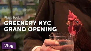 New Plant Shop in Greenpoint — Vlog 002