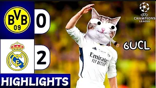 CAT MEMES: Dortmund vs Real Madrid (0-2) UCL FINAL 2024 Extended HIGHLIGHTS & CELEBRATION!