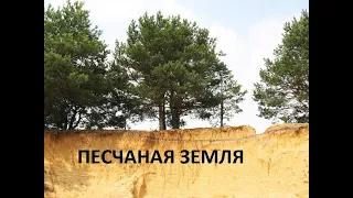 Песчаная земля-как улучшить.