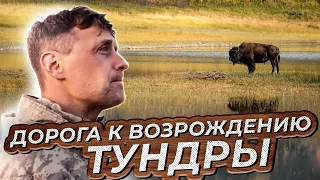 Дорога к возрождению тундры | Документальный фильм