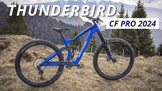 Dartmoor Thunderbird CF Pro