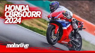 TEST HONDA CBR600RR | MOTORLIVE