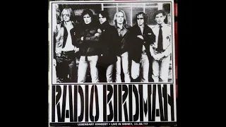 Radio Birdman - Legendary Concert Live in Sidney 1977 Full Album Vinyl Unofficial