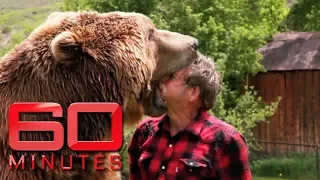 Man puts head in grizzly bear's jaws | 60 Minutes Australia