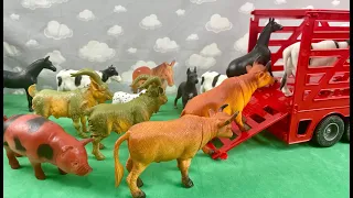 BIG RED TRAILER TRANSPORTING FARM ANIMALS/GRANDE CARRETA VERMELHA TRANSPORTANDO  ANIMAIS DA FAZENDA