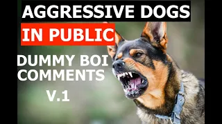 DUMMY BOI COMMENTS V.1 | AGGRESSIVE DOG IN PUBLIC | TEAM FLOPPY EARS LLC