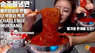 Spicy Bibim-naengmyeon Mukbang Challenge [Dorothy]