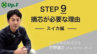 【Up.FTV スイカ編 STEP9】摘芯が必要な理由