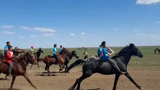 ☀️🇰🇿🐎 БӘЙГЕ! Орал қаласы. Құнан жарыс. Аламан