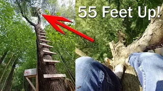 Crazy 55FT High Treehouse Deep In The Woods (4K)