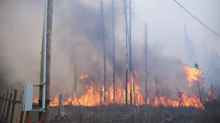 Верховой пожар сжёг забор. Real video