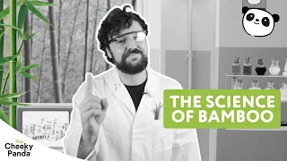 The Science of Bamboo | The Cheeky Panda
