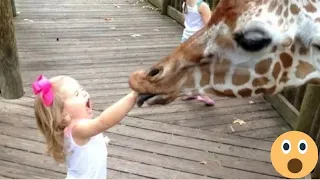 FORGET CATS! Funny KIDS vs zoo ANIMALSare WAY FUNNIER!- TRY NOT TO LAUGH